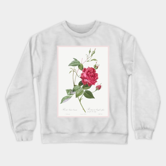 Blood-Red Bengal Rose Crewneck Sweatshirt by WAITE-SMITH VINTAGE ART